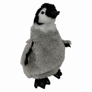 Douglas Realistic Penguin Plush Chick Cuddles Gray Black‎ 8" #3787 Stuffed